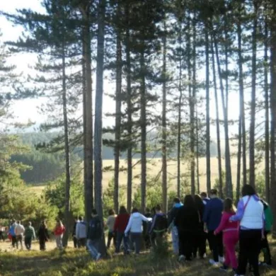 Šetnja septembar 2013.